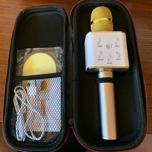 Karaoke Microphone